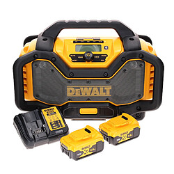 Radio sans fil DAB+ DeWalt DCR 027 P2 10,8-18,0 V + 2 batteries 5,0 Ah + chargeur