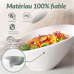 Avis DOWAN Bols à salade inclinés de 769 ML de 2 paquets