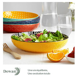 Avis DOWAN Bols à pâtes vibrants, grands bols à salade de 21,6 cm