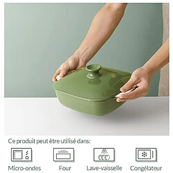 Acheter DOWAN Plat de Cuisson avec Couvercle Cocotte en Céramique, Vert