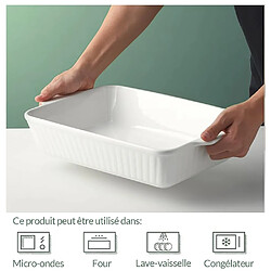 Avis DOWAN Cocotte 23.6cm x 33cm Plat de cuisson en céramique, Blanc