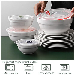 DOWAN Bols en céramique avec couvercles, 1893/1242/651/355 ML, ensemble de 4