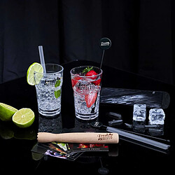 Acheter Paris Prix Coffret Mojito Avec Recette Fresh 40cm Multicolore
