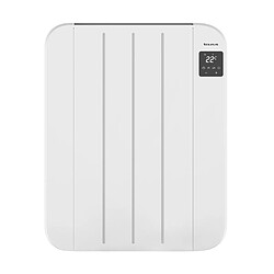 Radiateur à inertie