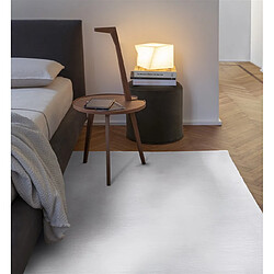 NOVATREND Tapis salon et chambre moderne TOUCHY 060 x 120 cm