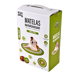 Paris Prix Matelas Rafraîchissant pour Animaux Fruit 60cm Vert
