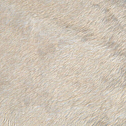 Paris Prix Coussin pour Chien & Chat Patchy 117cm Beige