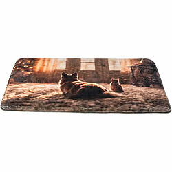 Matelas Trixie 50 x 40 cm Chats