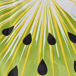 Avis Paris Prix Matelas Rafraîchissant pour Animaux Fruit 60cm Vert