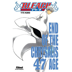Bleach. Vol. 47. End of the chrysalis age