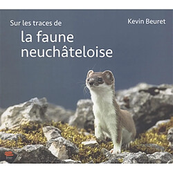 Sur les traces de la faune neuchâteloise