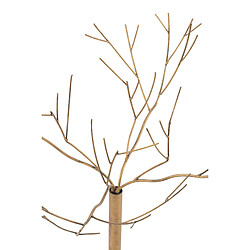Paris Prix Arbre Déco en Métal Maynard 75cm Or