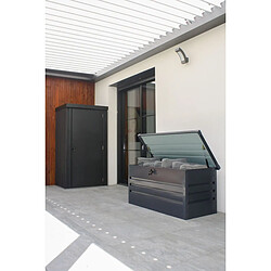 Avis Paris Prix Coffre de Jardin en Métal Scatola 120cm Gris Anthracite