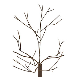 Paris Prix Arbre Déco en Métal Maynard 75cm Marron