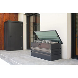 Paris Prix Coffre de Jardin en Métal Scatola 120cm Gris Anthracite pas cher