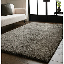 Tapis