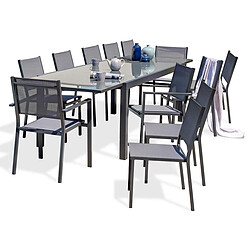 Paris Prix Ensemble Table de Jardin 10 Chaises & 2 Fauteuils Tolede 200-300cm Gris Anthracite