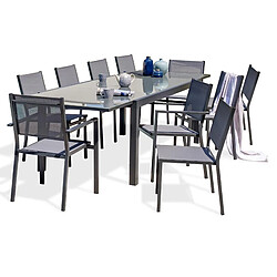 Paris Prix Ensemble Table de Jardin 8 Chaises & 2 Fauteuils Tolede 200-300cm Gris Anthracite