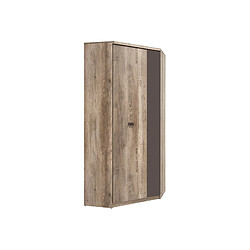 Pegane Armoire d'angle 1 porte - Chêne
