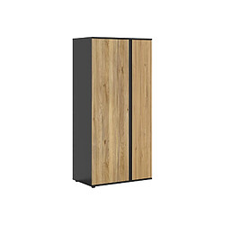 Pegane Armoire 2 portes design - Chêne