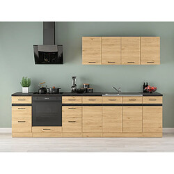 Pegane Cuisine complète meubles bas - Chêne