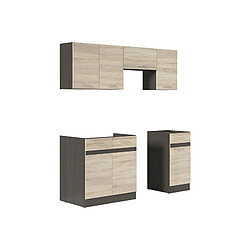 Pegane Cuisine complète bas - Chêne