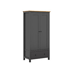 Pegane Armoire 2 portes tiroir - Graphite