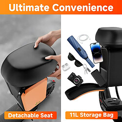 Avis AOVOPRO Trottinette électrique TX01 Scooter Siège avec Sac- 350W - 5.2Ah - Noir