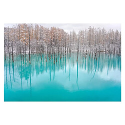 Avis SIGMA Objectif 35mm f/2 DG Noir Contemporary compatible avec Sony E