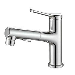 Avizar Robinet de Lavabo Extensible Multifonction avec Fonction Rinçage Buccal Argent