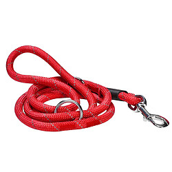 Inny Laisse pour Chien 150 cm avec Collier Réglable 45cm en Corde Résistante Rouge