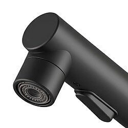 Acheter Avizar Robinet de Lavabo Extensible avec Fonction de Rinçage Buccal Noir