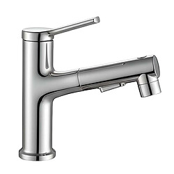 Avizar Robinet de Lavabo Extensible Multifonction avec Fonction Rinçage Buccal Argent