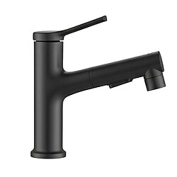 Avizar Robinet de Lavabo Extensible avec Fonction de Rinçage Buccal Noir