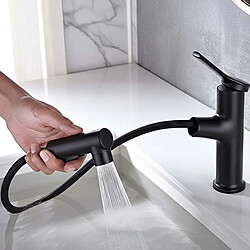 Avis Avizar Robinet de Lavabo Extensible avec Fonction de Rinçage Buccal Noir