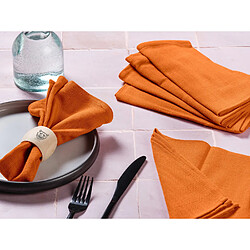 Serviette de table & torchon