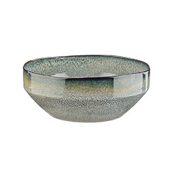 Bjorn Saladier GENESIS Ø22,5cm - Terre