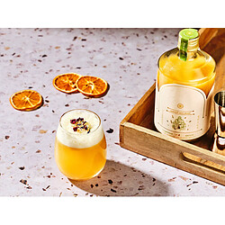 Acheter Bjorn Gobelet 33cl STEN - 6 pièces