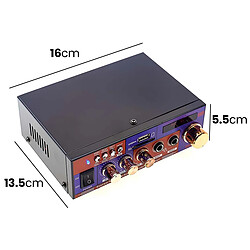 Acheter Avizar Amplificateur Audio Stéréo Multifonction Bluetooth USB SD FM Violet