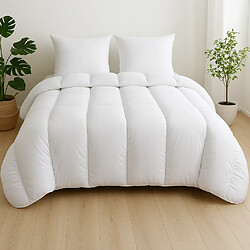 Avis Mortreux Couette Blanche Winter - Chaude - 220x240 - 13003