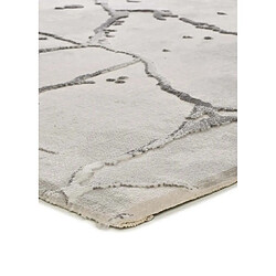 Avis ATTICGO Tapis effet marbre à relief ORIS gris 154x230 cm