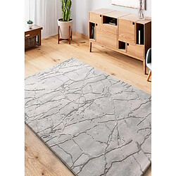 ATTICGO Tapis effet marbre à relief ORIS gris 115x170 cm