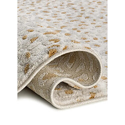 Atticgo AMARA 13001 - 200x290 cm - Gris/Crème pas cher