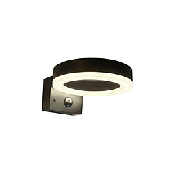 Lumihome Applique extérieure solaire DAYTONA avec détecteur de mouvements