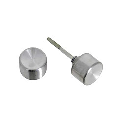 Bricard 2036021 Ensemble bouton sur plaque horizontale inox brossé