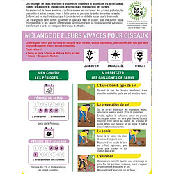 Mélange de fleurs vivaces pour oiseaux - BHS - 230 g - 18 variétés vivaces