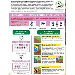 Mélange de fleurs coccinelles - BHS - 230 g - 15 variétés annuelles et 7 vivaces