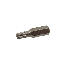 Acton 3604015 25 Boîte 10 embouts Torx T15-T25 1/4" hex