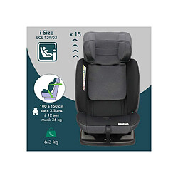 Acheter Bambisol AY913PLUSN Siège auto i-Size réversible Groupe 0+/1/2/3 Noir