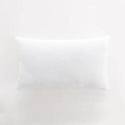 Dream&Co Oreiller Fibre Creuse 105, Toucher Plume, Anti-Allergique, Anti-Bactérien